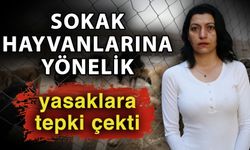 Sokak hayvanlarına yönelik yasaklara tepki çekti