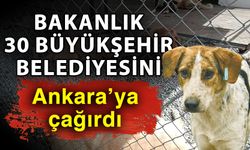 Bakanlık 30 büyükşehir belediyesini Ankara’ya çağırdı