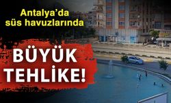 Antalya’da süs havuzlarında büyük tehlike!