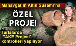 Manavgat’ın Altın Susamı’na özel proje! Tarlalarda ‘TAKE Projesi’ kontrolleri yapılıyor