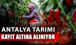 Antalya tarımı kayıt altına alınıyor