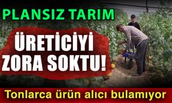 Plansız tarım üreticiyi zora soktu! Tonlarca ürün alıcı bulamıyor
