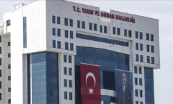 Tarım ve Orman Bakanlığı'ndan çiftçilere dev destek