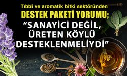 Tıbbi ve aromatik bitki sektöründen destek paketi yorumu; Sanayici değil, üreten köylü desteklenmeliydi