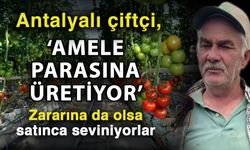 Antalyalı çiftçi, amele parasına üretiyor’ Zararına da olsa satınca seviniyorlar