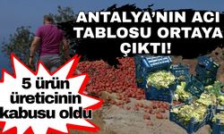 Antalya’nın acı tablosu ortaya çıktı! 5 ürün üreticinin kabusu oldu