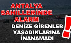 Antalya’da denize girenler yaşadıklarına inanamadı! Antalya sahillerinde alarm