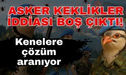 Asker keklikler iddiası boş çıktı! Kenelere çözüm aranıyor