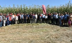 Aydın’da kaba yem açığını kapatacak proje meyvelerini veriyor