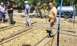Aydın’da “Kuru incir rekoltesi değerlendirme toplantısı” yapıldı… Rakamlar açıklanmadı