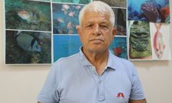 Balon balığı Akdeniz’in doğal popülasyonu haline geldi