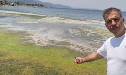 Kahreden manzara! Bu koku dayanılacak gibi değil
