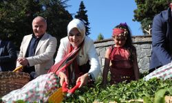 Bakan Göktaş'tan Rize'de Aile Yılı kapsamında ziyaretler
