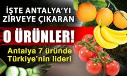 İşte Antalya’yı zirveye çıkaran o ürünler! Antalya 7 üründe Türkiye’nin lideri