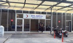 Bodrum'da borç-alacak kavgasında ortalık kan gölüne döndü
