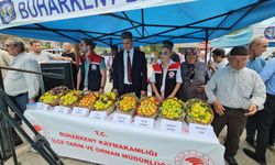 Buharkent’te Taze İndir festivali başladı... Geceye İntizar damga vurdu