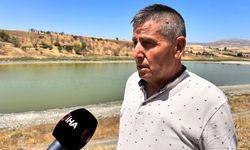 Kızılca Göleti'nde 2'nci yılın acı tablosu! Çürüyen balıklar ve kötü kokan su yatağı