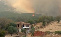 Denizli-Aydın sınırındaki yangın yeniden alevlendi: Yangın evlere sıçradı