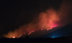 Denizli'deki orman yangını kontrol altına alındı