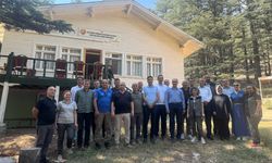 Orman yangınlarını önlenmesi için topyekün mücadele! Antalya’daki tüm kamu kurumları aktif rol oynayacak
