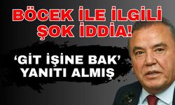 Böcek ile ilgili şok iddia! ‘Git işine bak’ yanıtı almış
