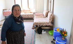 Adana'da orman yangınıyla küle dönen 4 bin hektarda fidanlar tekrar büyüdü