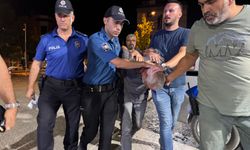 Konya'da baba ve oğluna kurşun yağdırdı, mısır tarlasında yakalandı