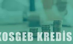 KOSGEB’ten kredi nasıl alınır? KOSGEB desteği nedir? KOSGEB desteği almak için neler yapılmalıdır? KOSGEB desteği almanın kolay yolları?