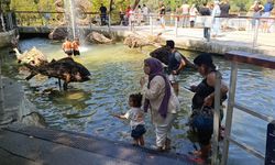 Manavgat Şelalesi'nde düşen su seviyesi ziyaretçileri şaşkına çevirdi