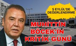 Böcek için kritik gün 5 Eylül...