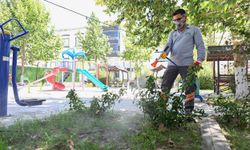 Mut'ta sineksiz yaz için etkili mücadele sürüyor