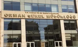 Orman Genel Müdürlüğü yangınlarından sonra yapılan çalışmaları açıkladı!
