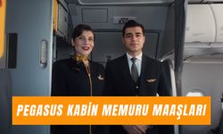 Pegasus Hostes Maaşları 2025: Kabin Memurları Ne Kadar Kazanıyor?