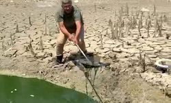Sıcaktan dolayı kuruyan sazlıktaki balıklar telef olmaktan kurtarıldı