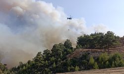 Silifke'de orman yangınına havadan ve karadan müdahale sürüyor... 190 kişi tahliye edildi