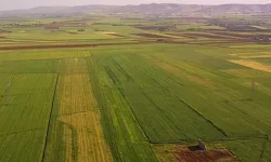 TARIM ALANI SATILACAK VE KİRALANACAK