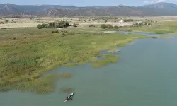 Genç girişimciler iklim dostu fikirleriyle +0.5’te