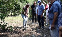 Büyükşehir’den üreticiyi eğitim desteği