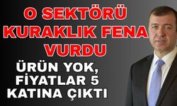 O sektörü kuraklık fena vurdu! Ürün yok, fiyatlar 5 katına çıktı