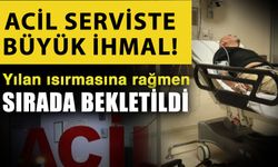 Acil serviste büyük ihmal! Yılan ısırmasına rağmen sırada bekletildi