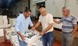 Akdeniz'de av yasağı kalktı! 1 kilo fiyatına 1 kasa balık