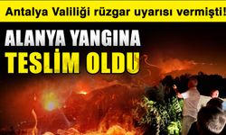 Antalya Valiliği rüzgar uyarısı vermişti! Alanya yangına teslim oldu