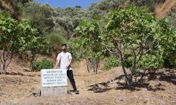Görenler şaştı kaldı… Mezar taşı değil, ‘herkes yesin' uyarısı