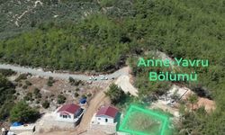Kozan Belediyesi’nden hayvan severleri sevindiren müjde geldi