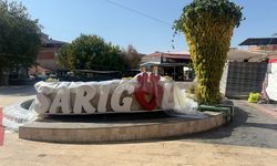 Manisa’da 17. Sultani Üzüm Festivali gerçekleşti