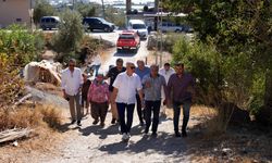 Alanya yangın yaralarını sarıyor! Başkan Özçelik'ten dayanışma çağrısı