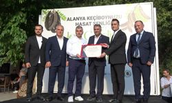 Alanya’nın Keçiboynuzuna coğrafi işaret!