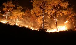 Antalya’ya müjdeli haber geldi... Alanya yangını tamamen kontrol altında!