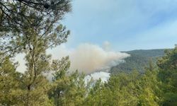 Alanya’da yangın kontrol altına alınmaya çalışıyor