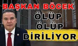 Başkan Böcek ölüp ölüp diriliyor... Sosyal medyada rezalet!